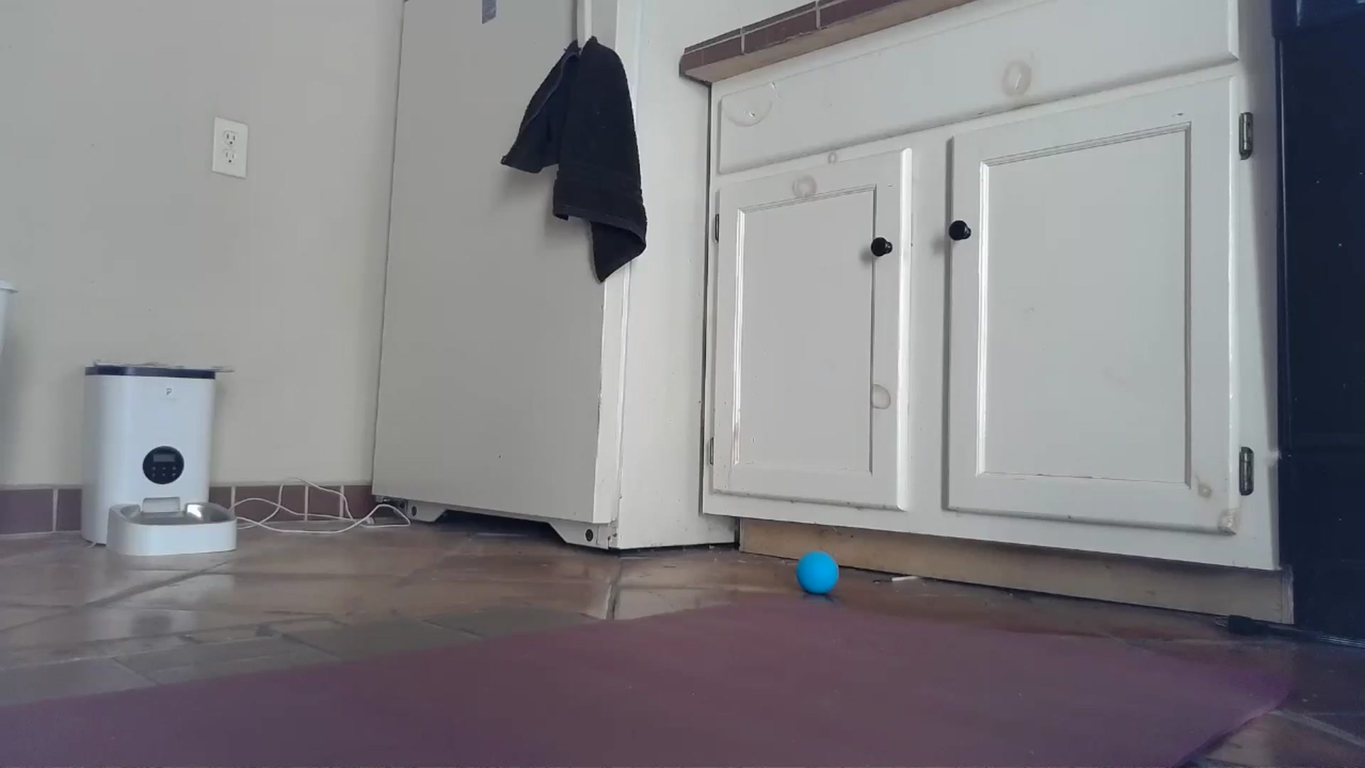 Gallery image thumbnail from TrollopTaylor's myfreecams stream on, 10/07/2024, 19:45 image 18 of 20