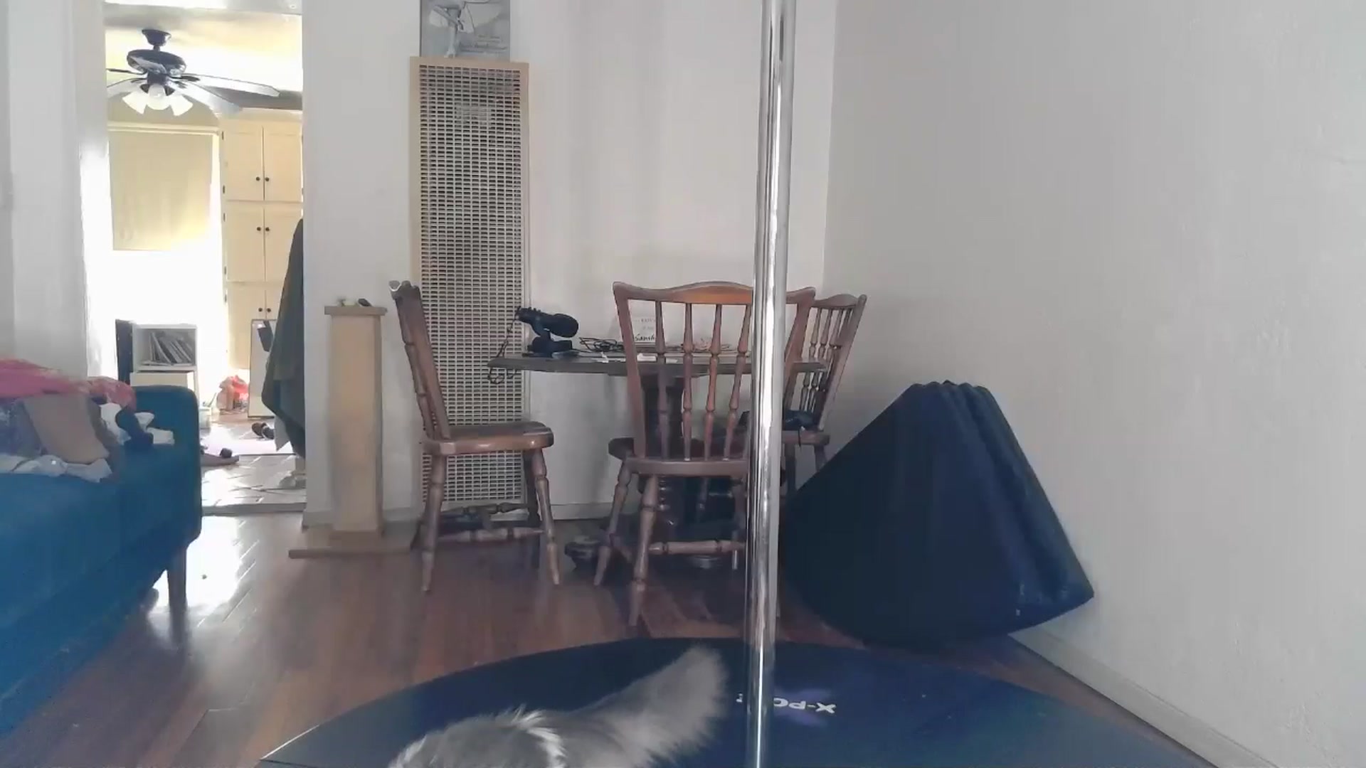 Gallery image thumbnail from TrollopTaylor's myfreecams stream on, 10/16/2024, 21:23 image 2 of 20