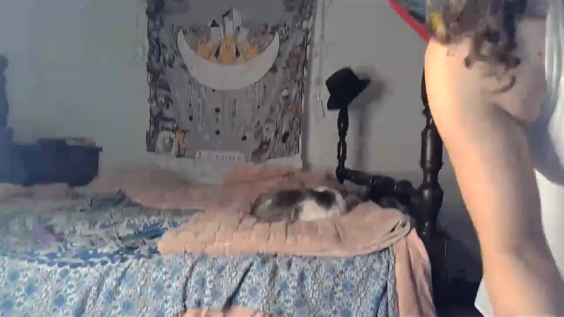 Gallery image thumbnail from TrollopTaylor's myfreecams stream on, 10/18/2024, 23:50 image 16 of 20