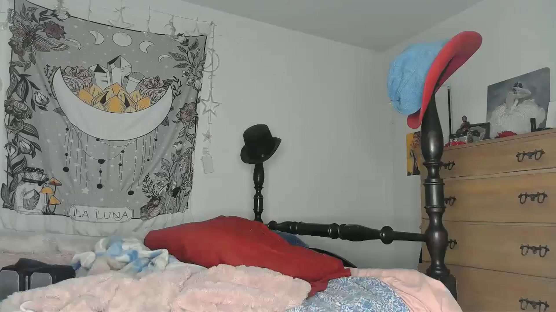 Gallery image thumbnail from TrollopTaylor's myfreecams stream on, 10/22/2024, 20:38 image 1 of 20