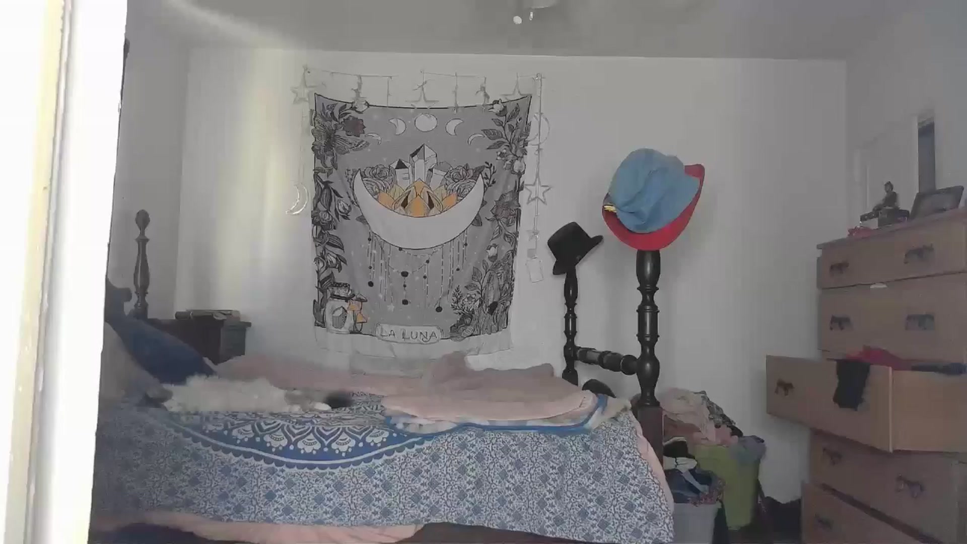 Gallery image thumbnail from TrollopTaylor's myfreecams stream on, 10/25/2024, 20:39 image 2 of 20