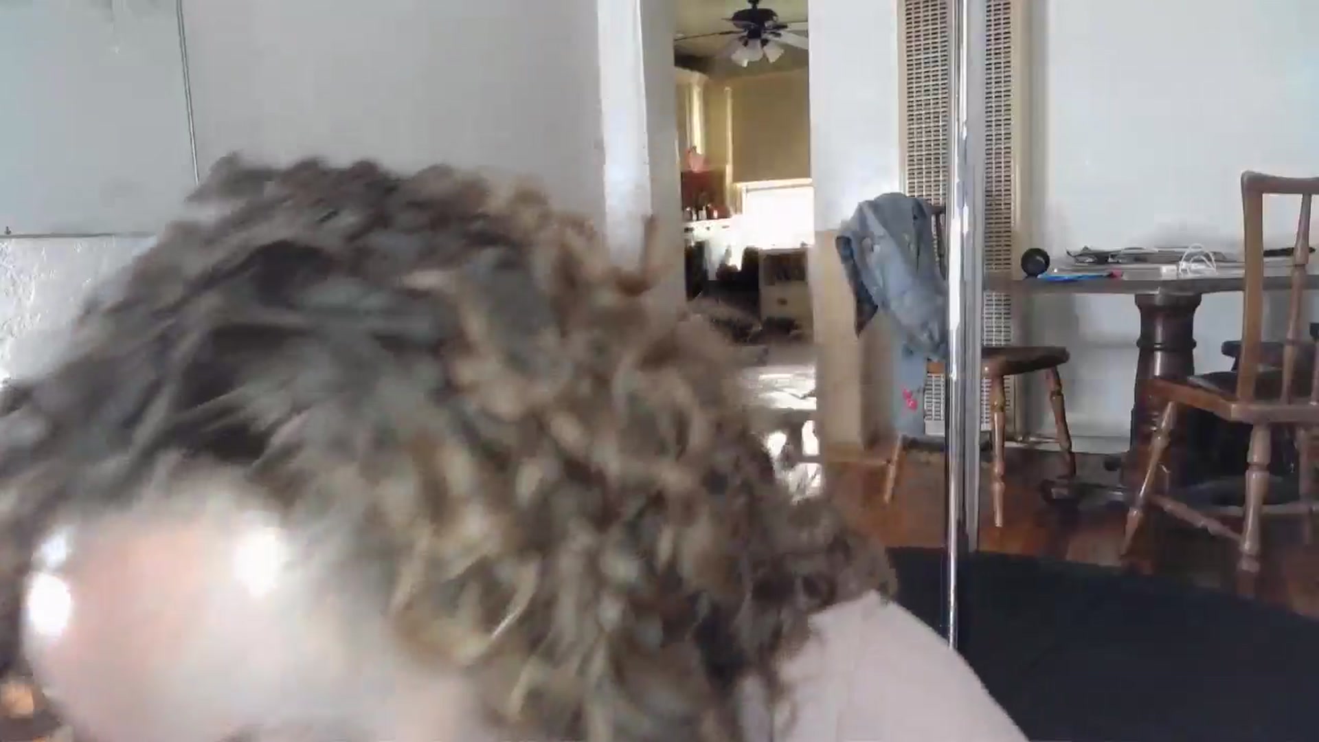Gallery image thumbnail from TrollopTaylor's myfreecams stream on, 11/05/2024, 20:11 image 15 of 20