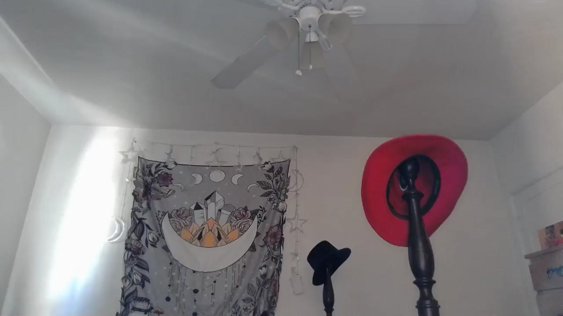 Gallery image thumbnail from TrollopTaylor's myfreecams stream on, 11/09/2024, 20:18 image 18 of 20