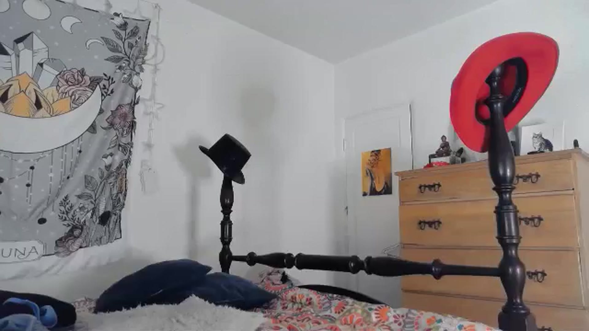 Gallery image thumbnail from TrollopTaylor's myfreecams stream on, 11/18/2024, 18:13 image 20 of 20