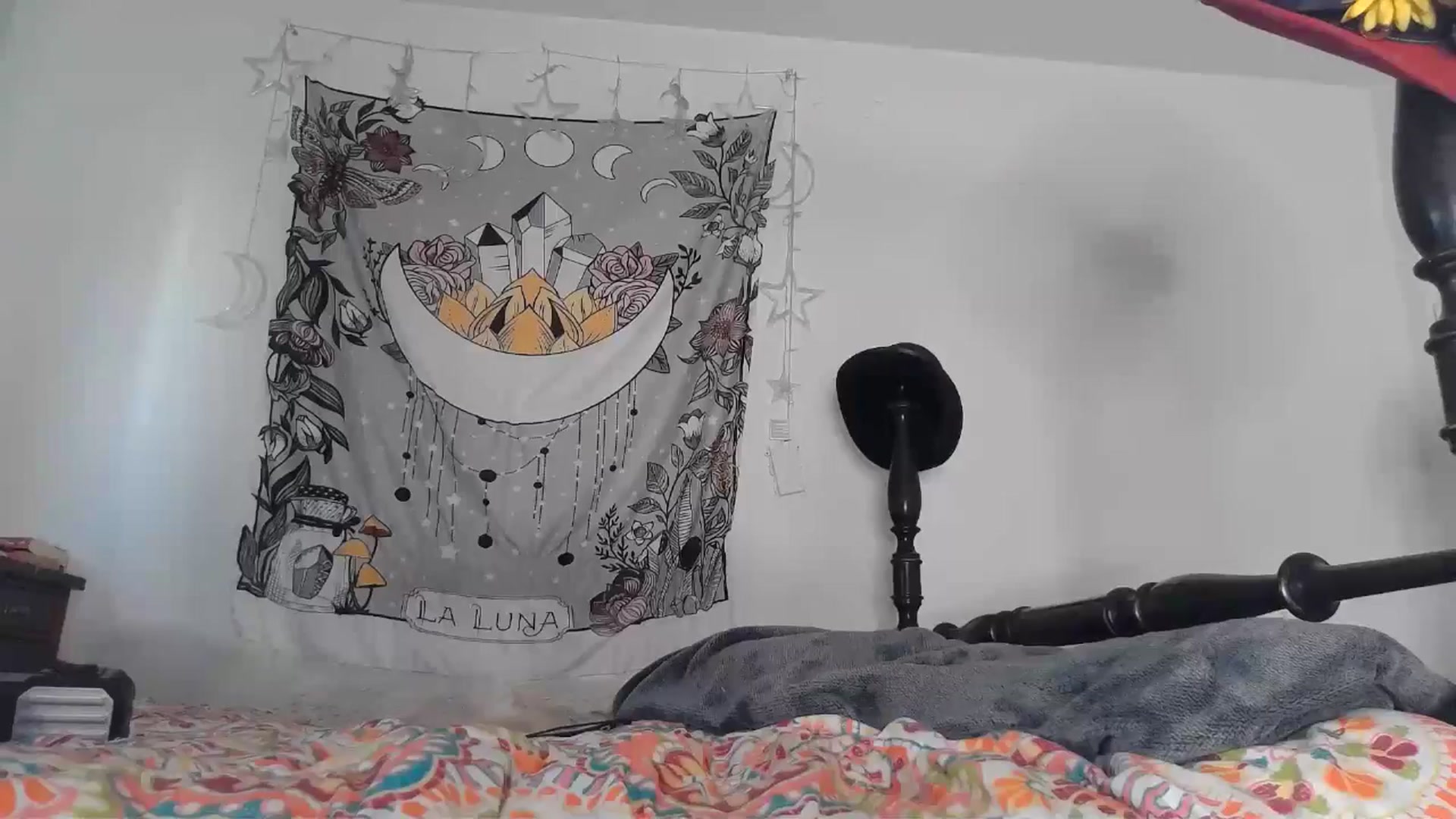 Gallery image thumbnail from TrollopTaylor's myfreecams stream on, 11/30/2024, 22:06 image 20 of 20