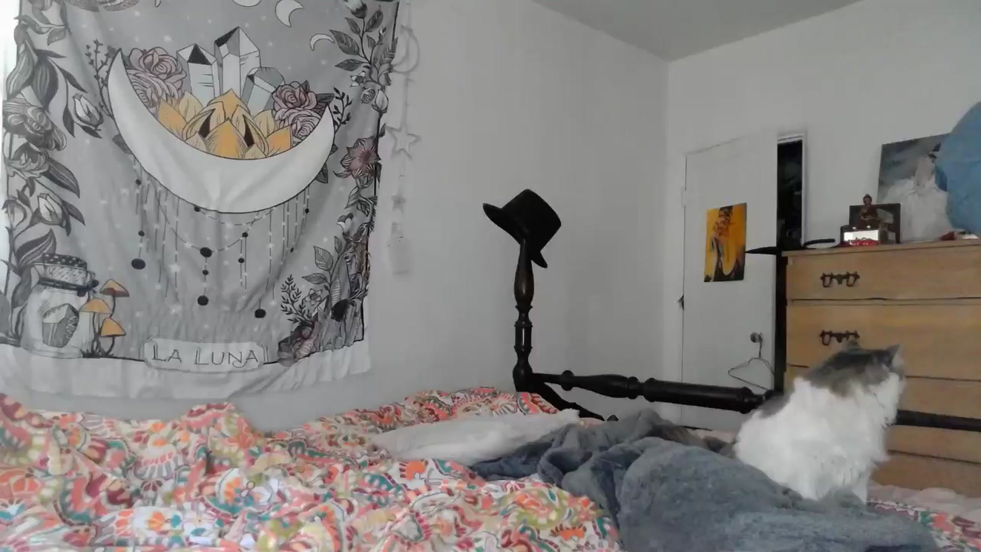 Gallery image thumbnail from TrollopTaylor's myfreecams stream on, 12/10/2024, 19:49 image 5 of 20