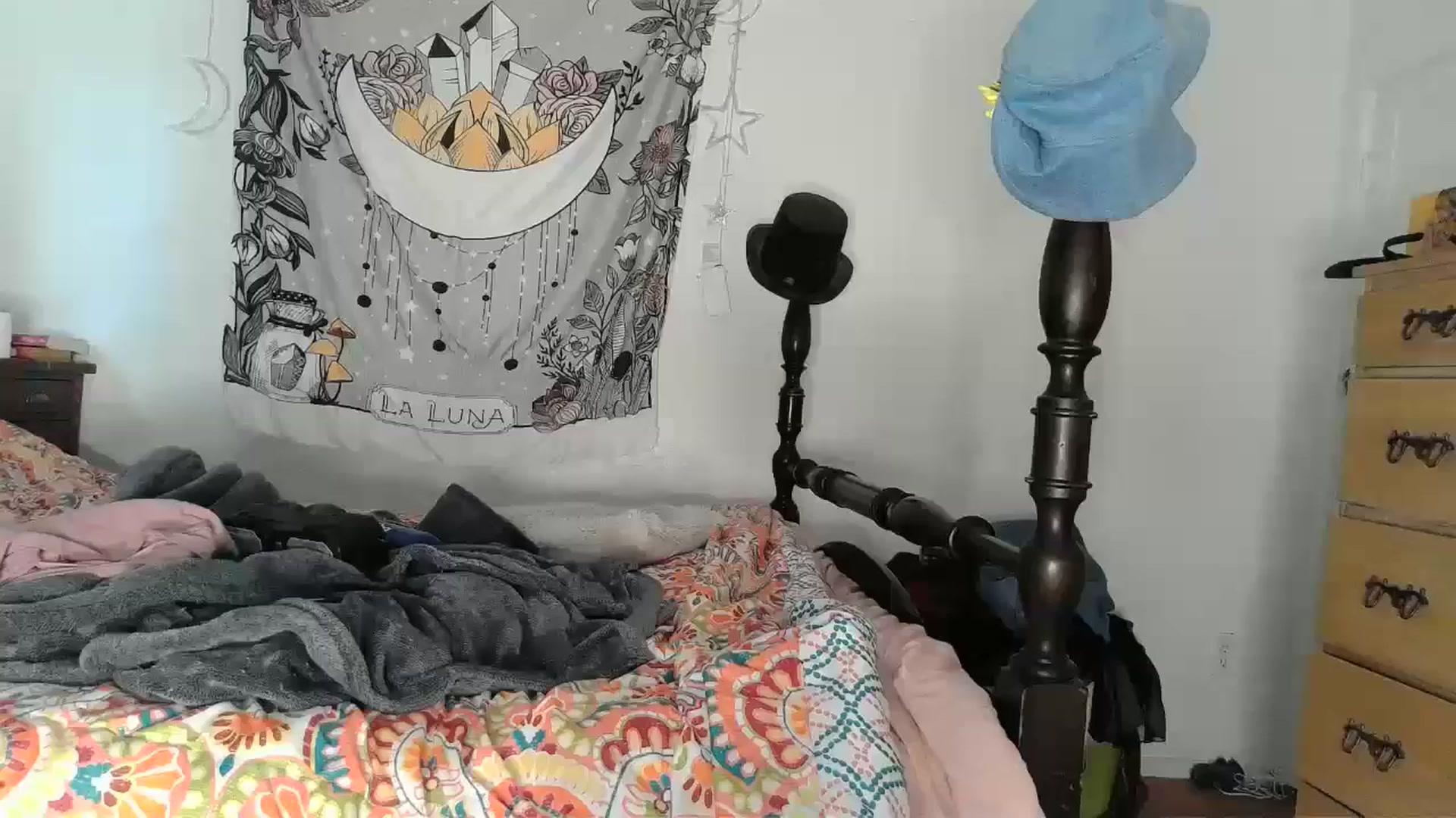 Gallery image thumbnail from TrollopTaylor's myfreecams stream on, 12/12/2024, 21:15 image 9 of 20
