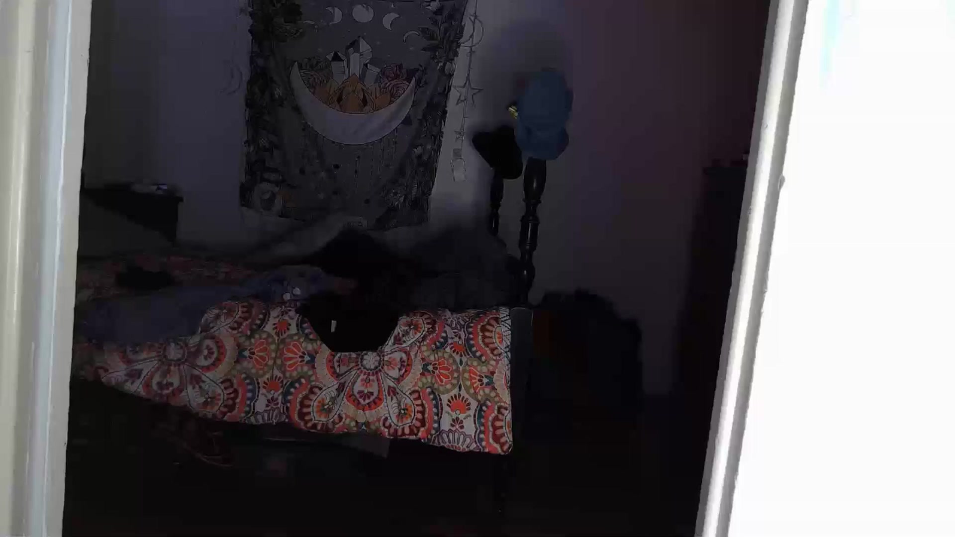 Gallery image thumbnail from TrollopTaylor's myfreecams stream on, 12/15/2024, 24:50 image 2 of 20