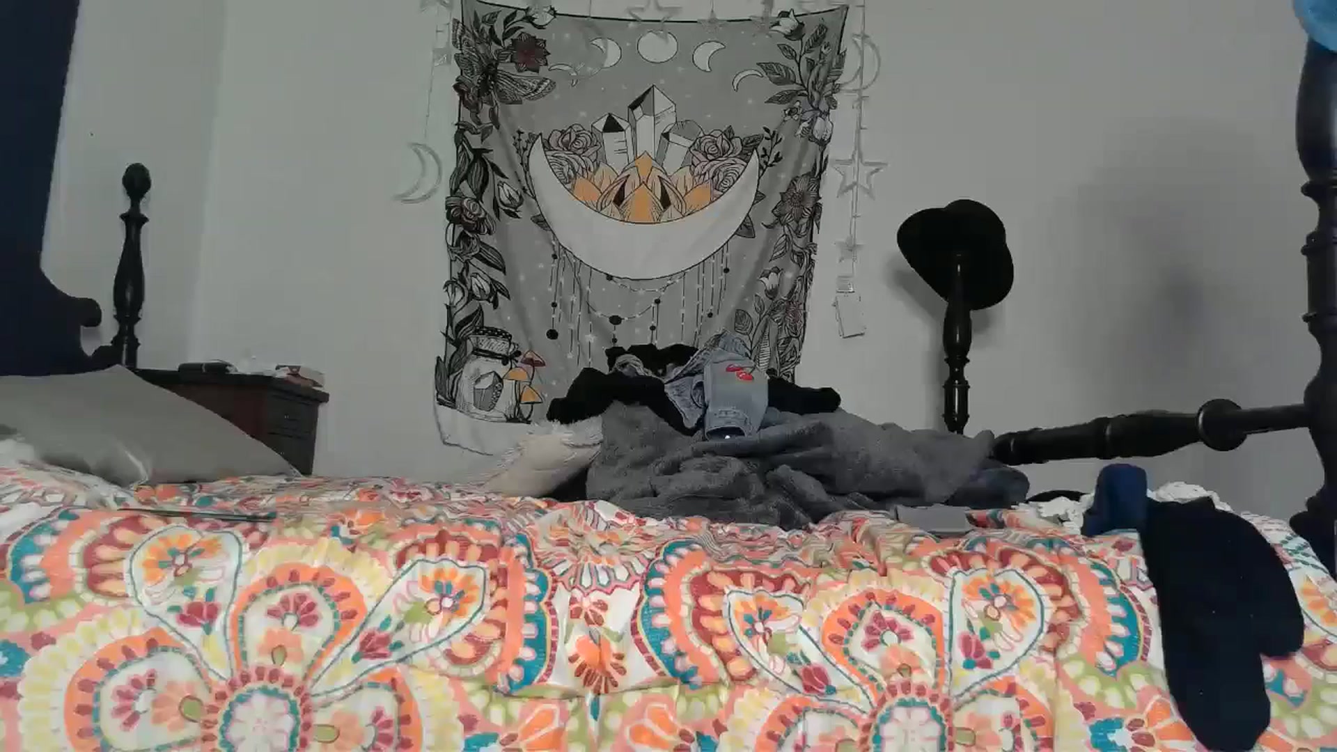 Gallery image thumbnail from TrollopTaylor's myfreecams stream on, 12/15/2024, 24:50 image 13 of 20