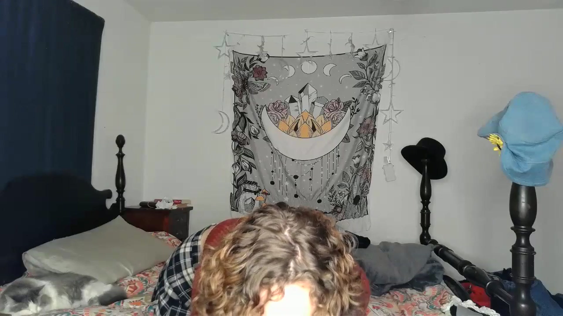 Gallery image thumbnail from TrollopTaylor's myfreecams stream on, 12/15/2024, 24:50 image 18 of 20