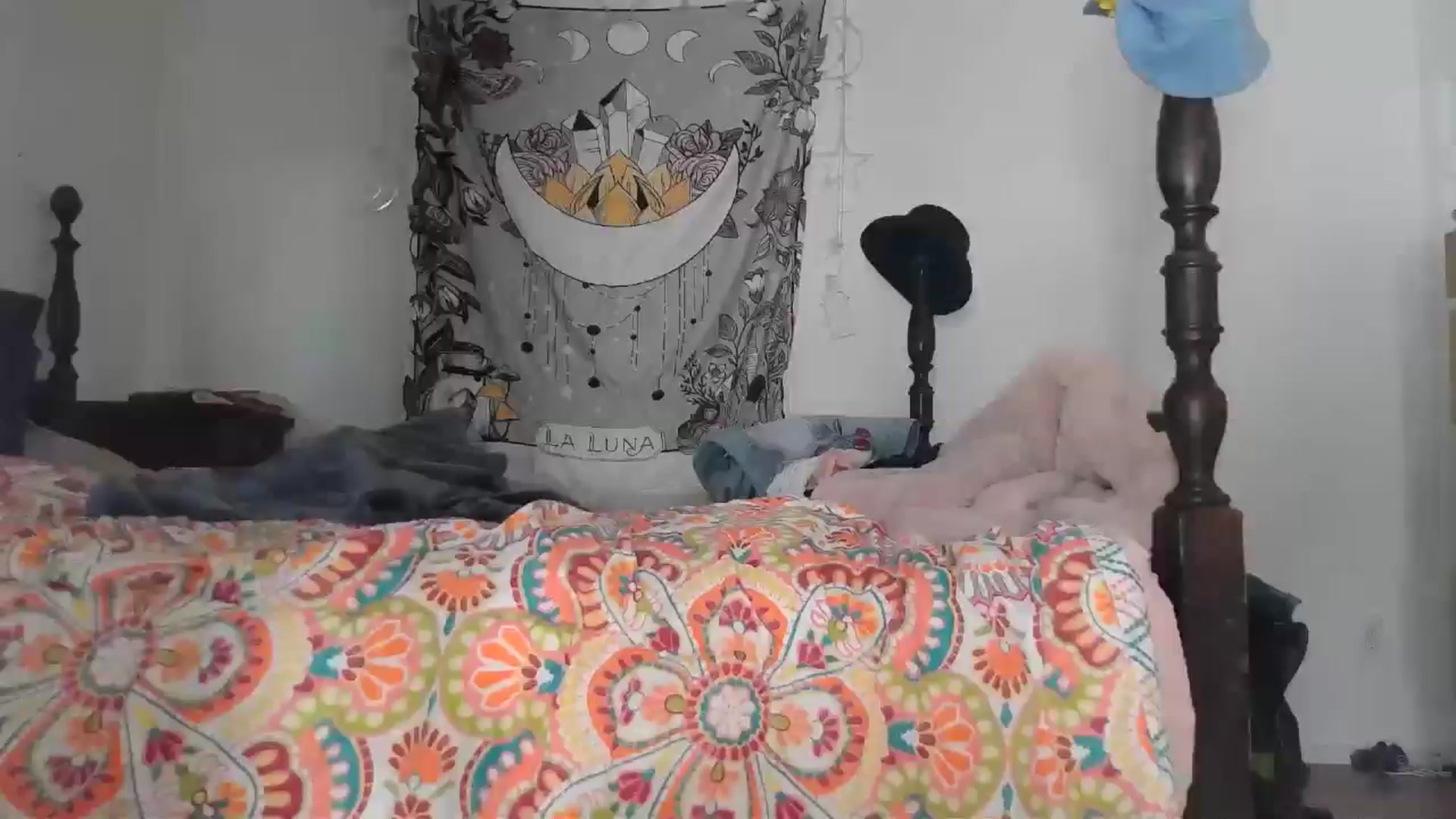 Gallery image thumbnail from TrollopTaylor's myfreecams stream on, 12/16/2024, 23:44 image 15 of 20