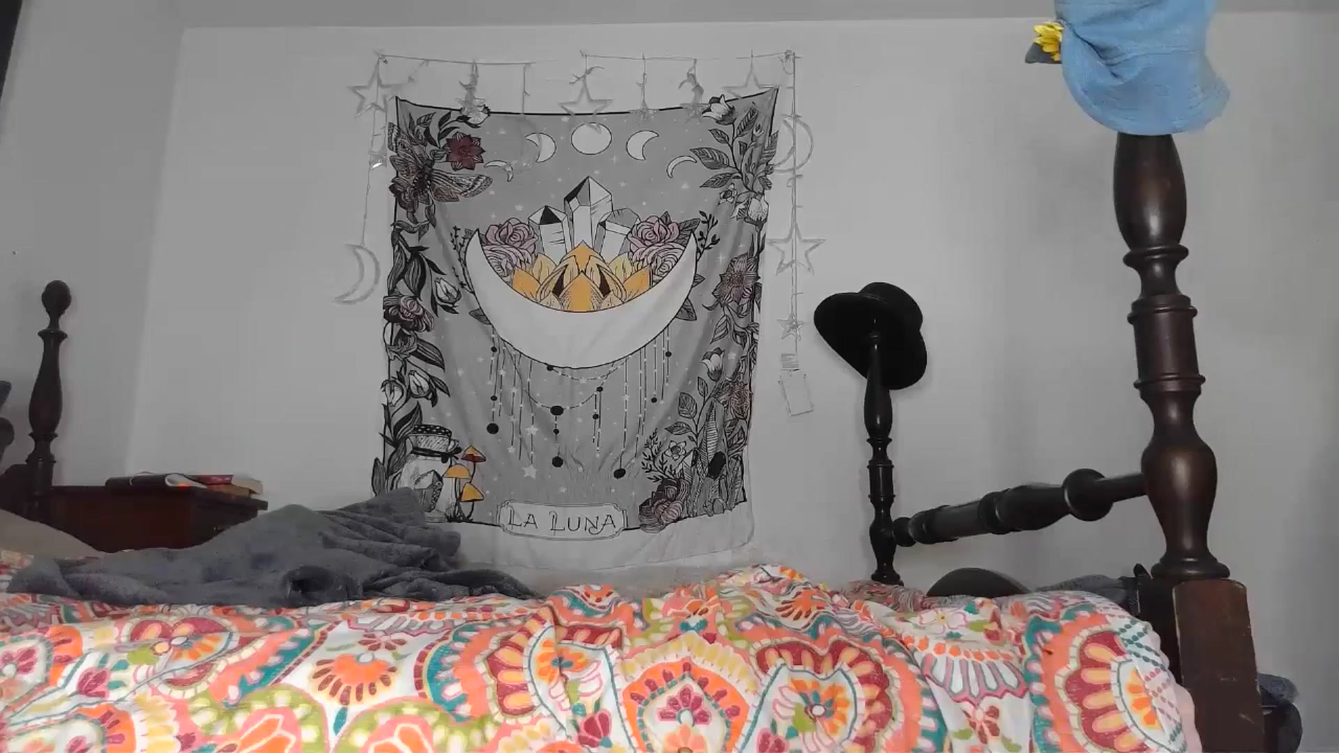 Gallery image thumbnail from TrollopTaylor's myfreecams stream on, 12/16/2024, 23:44 image 17 of 20