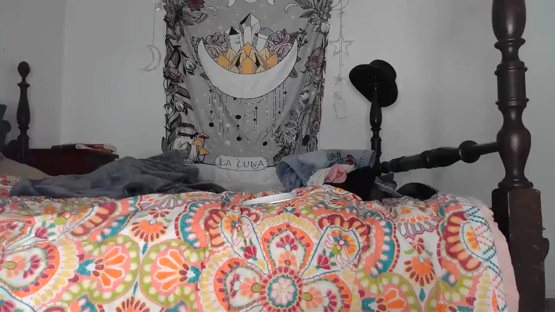 Gallery image thumbnail from TrollopTaylor's myfreecams stream on, 12/16/2024, 23:44 image 16 of 20