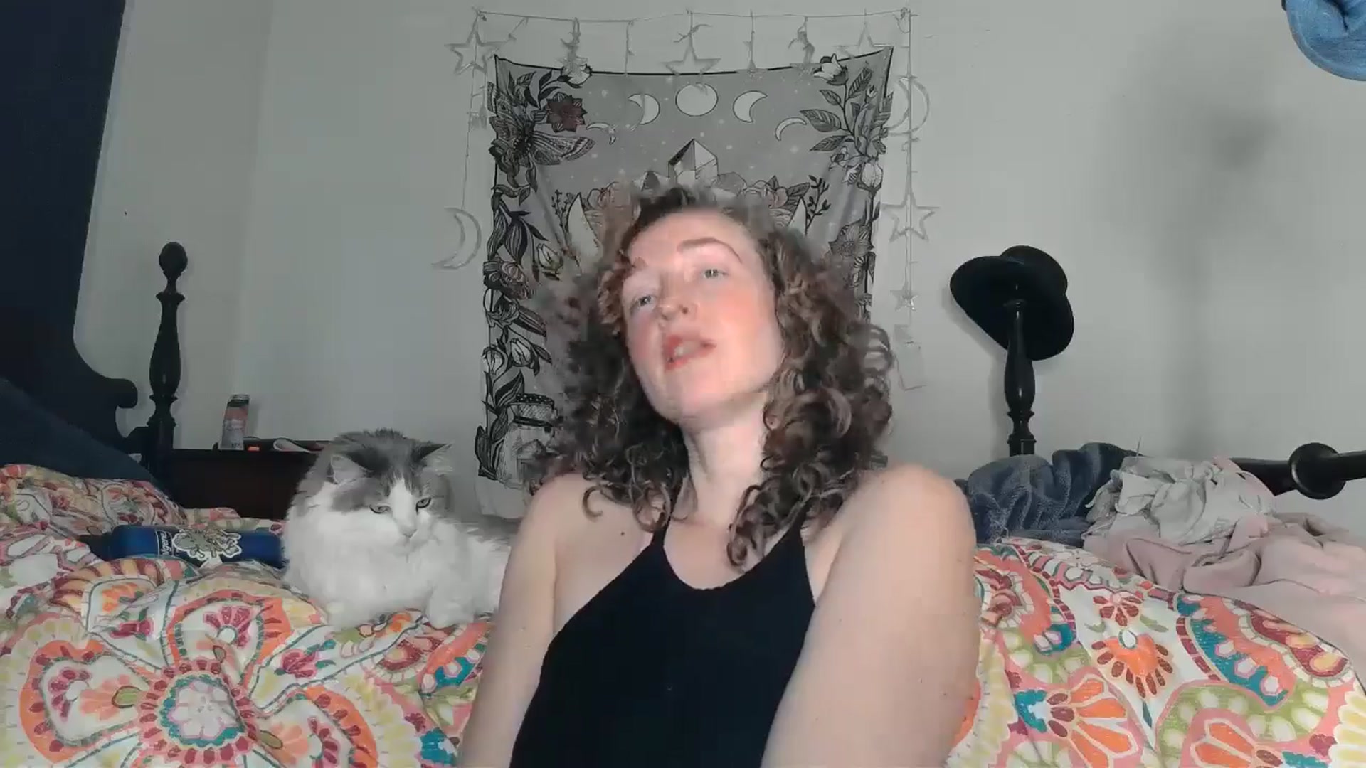 Gallery image thumbnail from TrollopTaylor's myfreecams stream on, 12/19/2024, 24:20 image 15 of 20