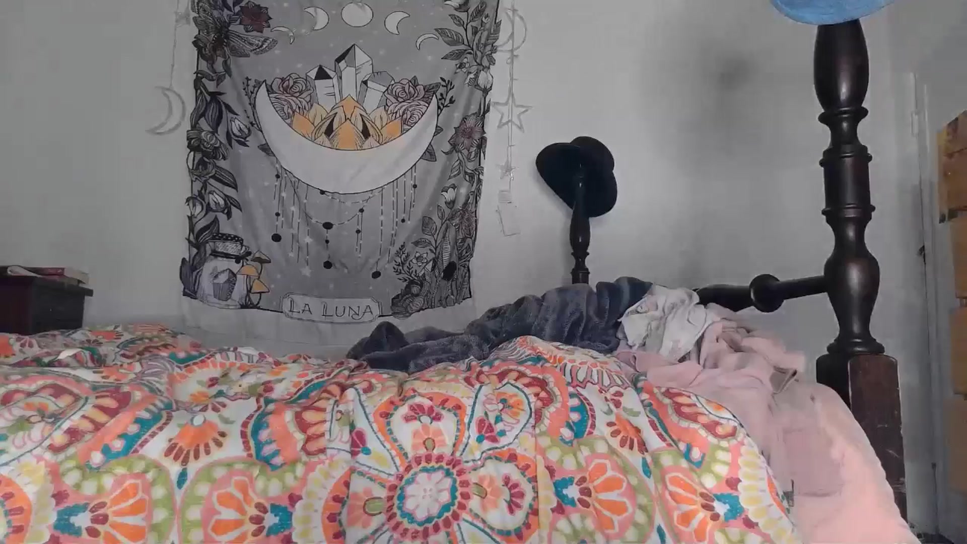 Gallery image thumbnail from TrollopTaylor's myfreecams stream on, 12/19/2024, 24:59 image 19 of 20