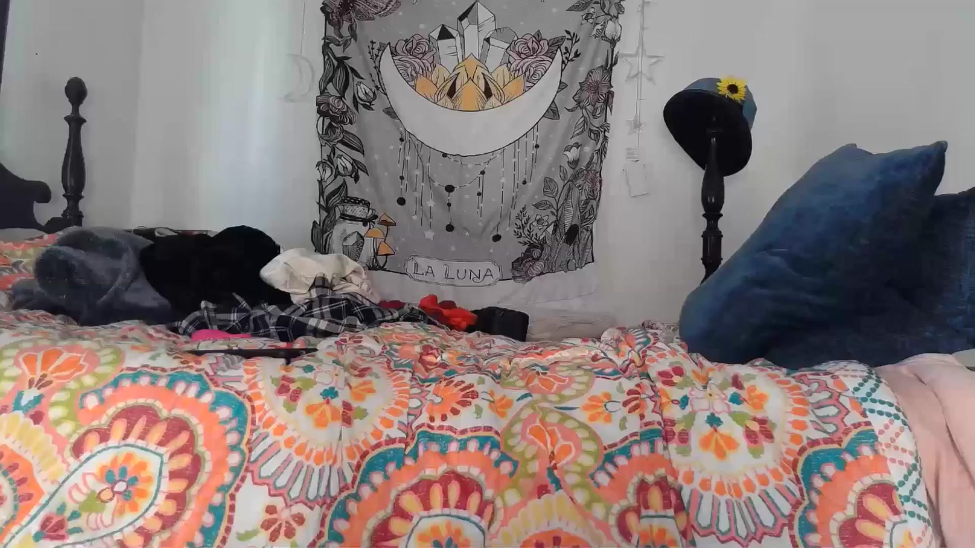 Gallery image thumbnail from TrollopTaylor's myfreecams stream on, 12/19/2024, 20:25 image 20 of 20