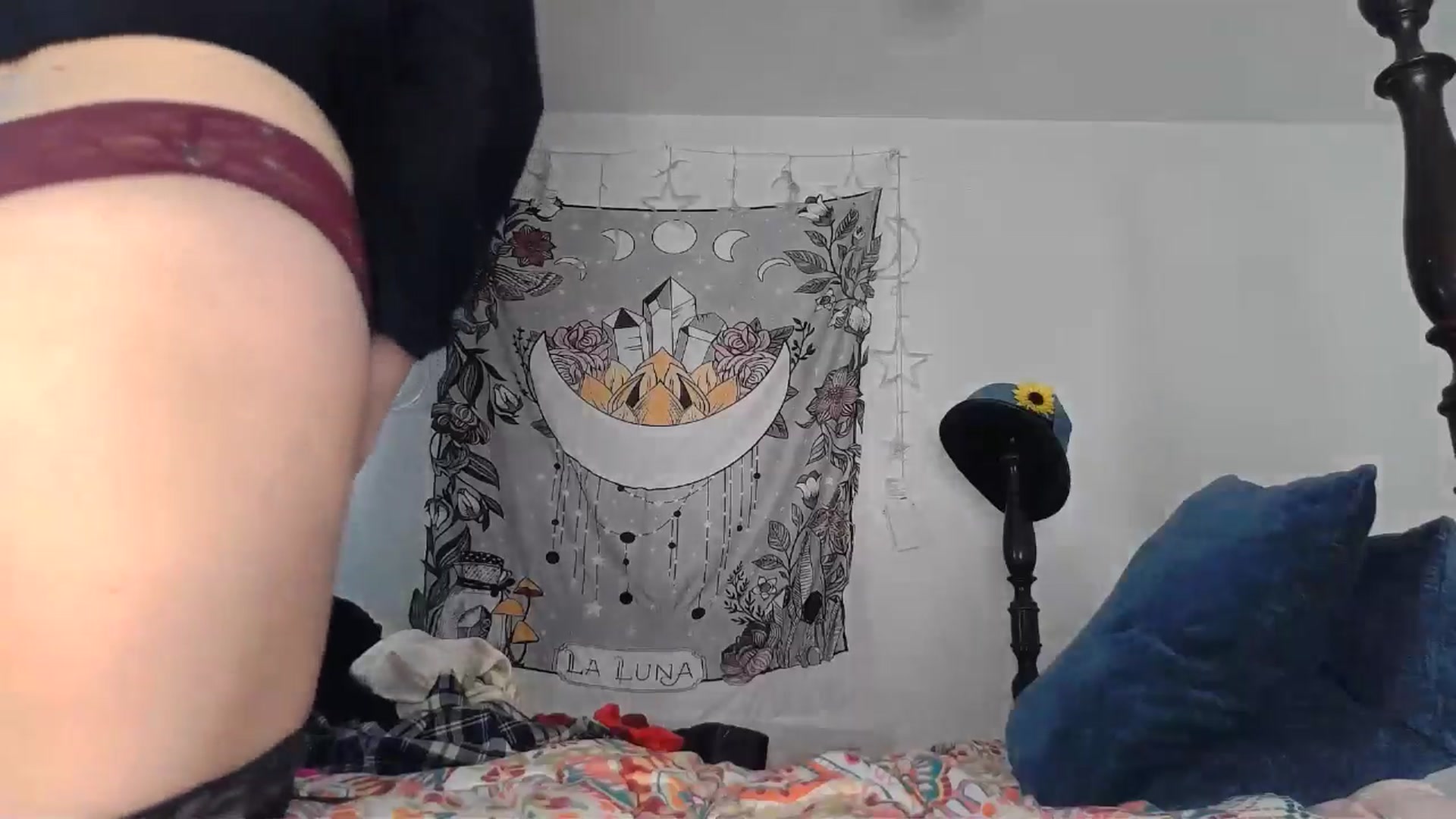 Gallery image thumbnail from TrollopTaylor's myfreecams stream on, 12/19/2024, 20:48 image 4 of 20