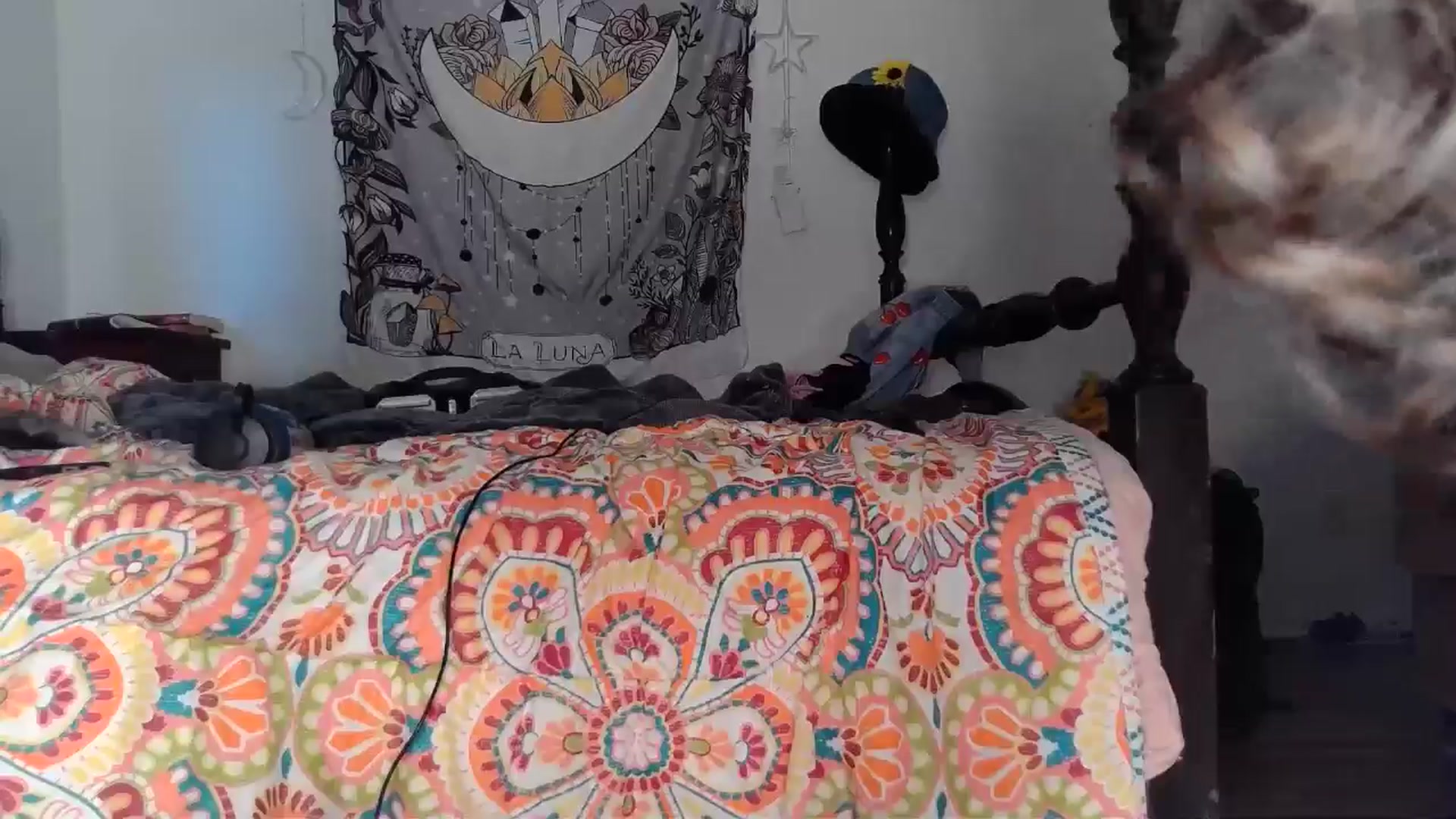 Gallery image thumbnail from TrollopTaylor's myfreecams stream on, 12/20/2024, 23:28 image 6 of 20