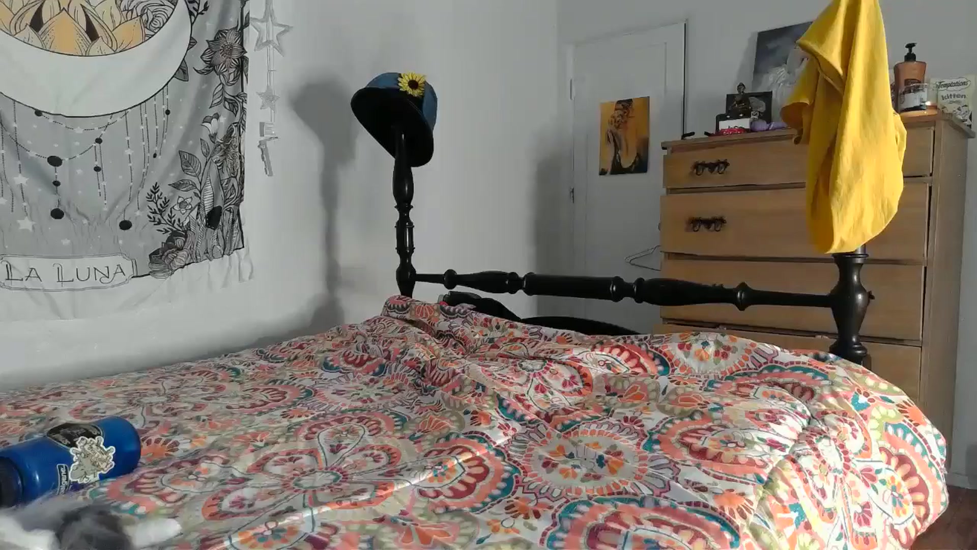 Gallery image thumbnail from TrollopTaylor's myfreecams stream on, 12/22/2024, 23:19 image 15 of 20
