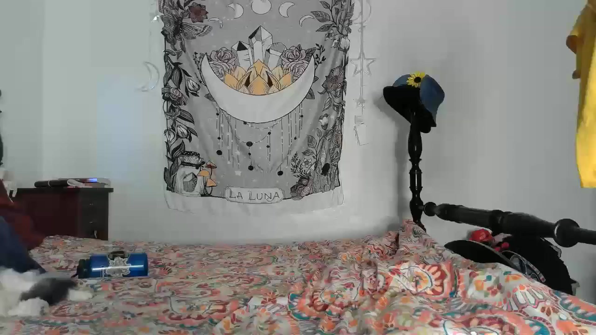 Gallery image thumbnail from TrollopTaylor's myfreecams stream on, 12/22/2024, 23:19 image 18 of 20