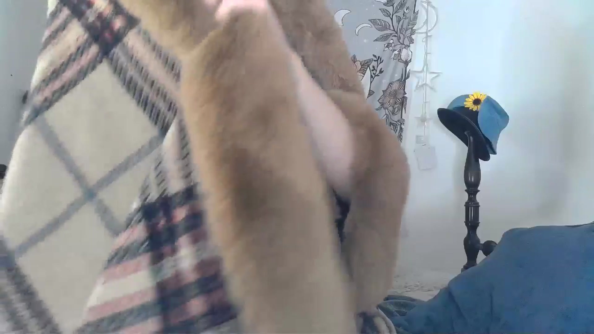 Gallery image thumbnail from TrollopTaylor's myfreecams stream on, 01/01/2025, 22:03 image 11 of 20
