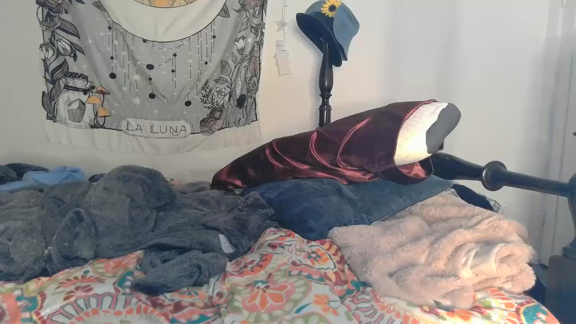 Gallery image thumbnail from TrollopTaylor's myfreecams stream on, 01/03/2025, 01:12 image 13 of 20