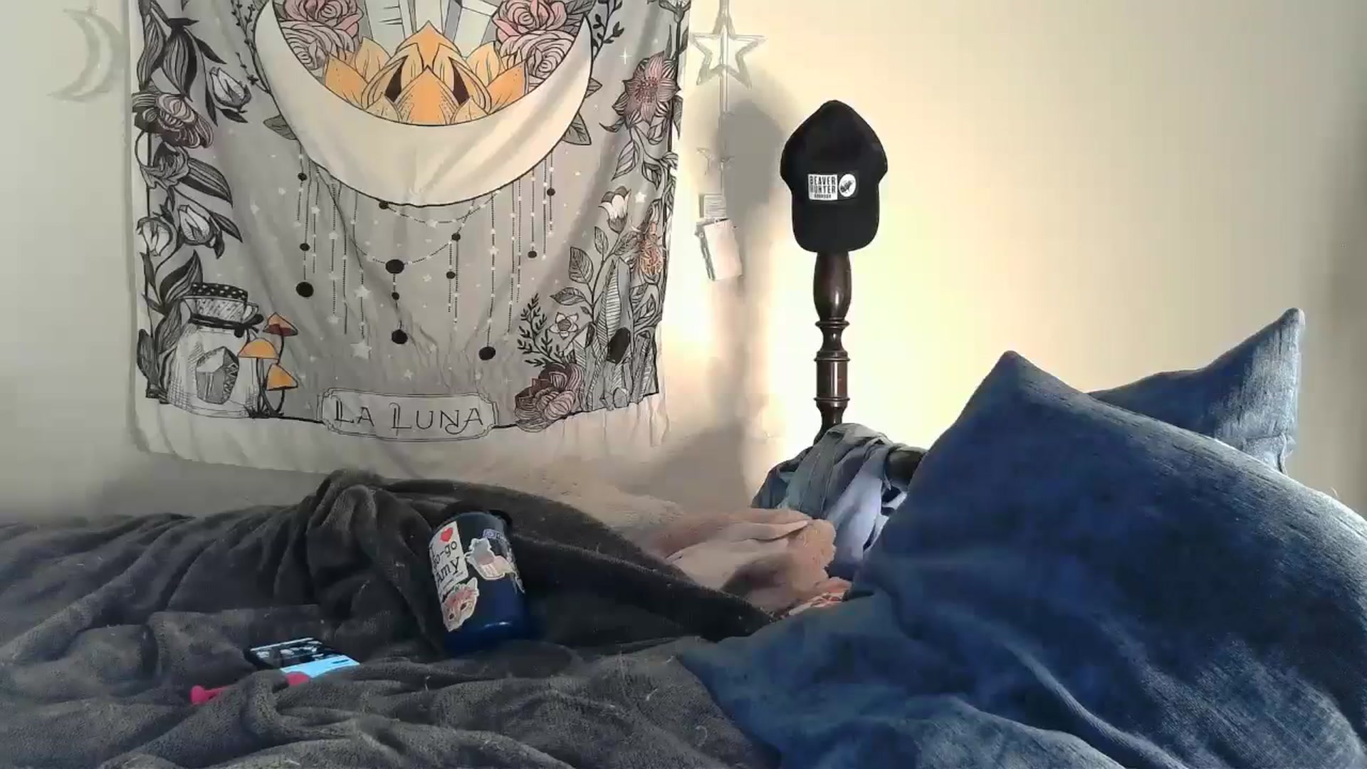 Gallery image thumbnail from TrollopTaylor's myfreecams stream on, 01/09/2025, 24:00 image 3 of 20