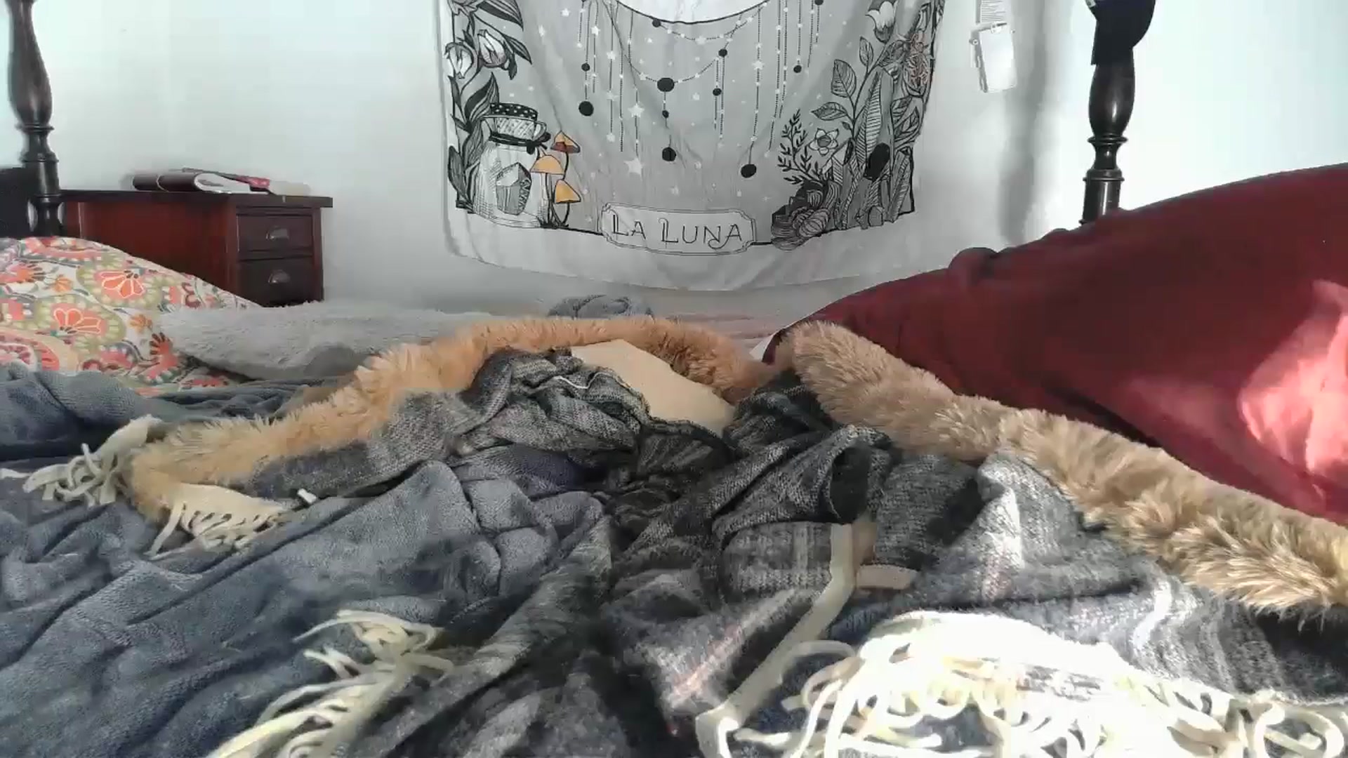Gallery image thumbnail from TrollopTaylor's myfreecams stream on, 01/10/2025, 24:07 image 8 of 20