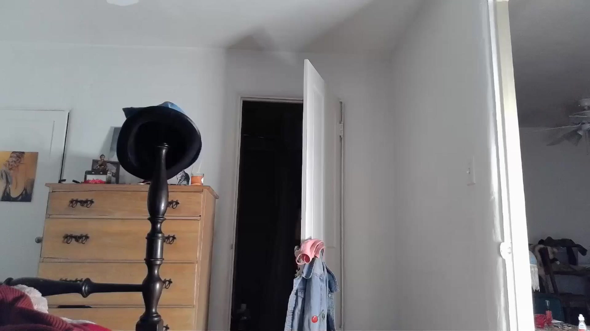 Gallery image thumbnail from TrollopTaylor's myfreecams stream on, 01/14/2025, 23:05 image 12 of 20