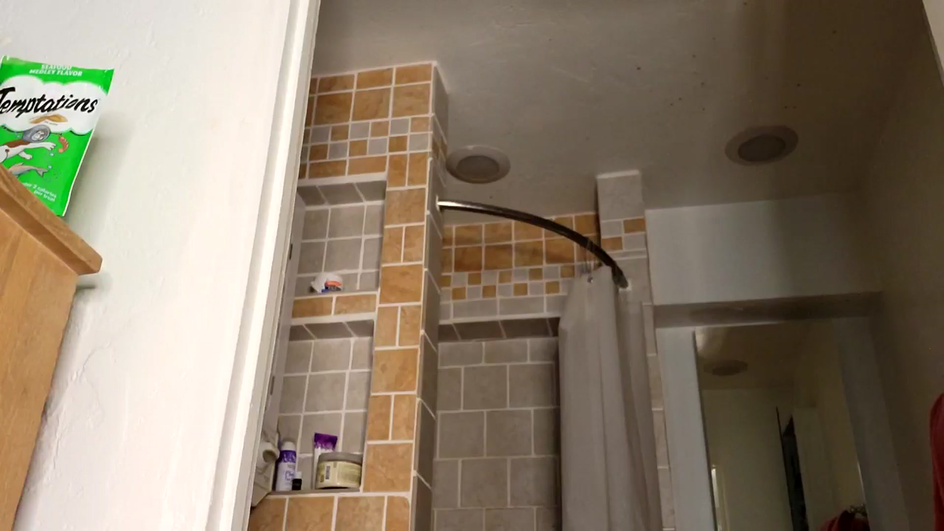 Gallery image thumbnail from TrollopTaylor's myfreecams stream on, 01/20/2025, 20:24 image 13 of 20