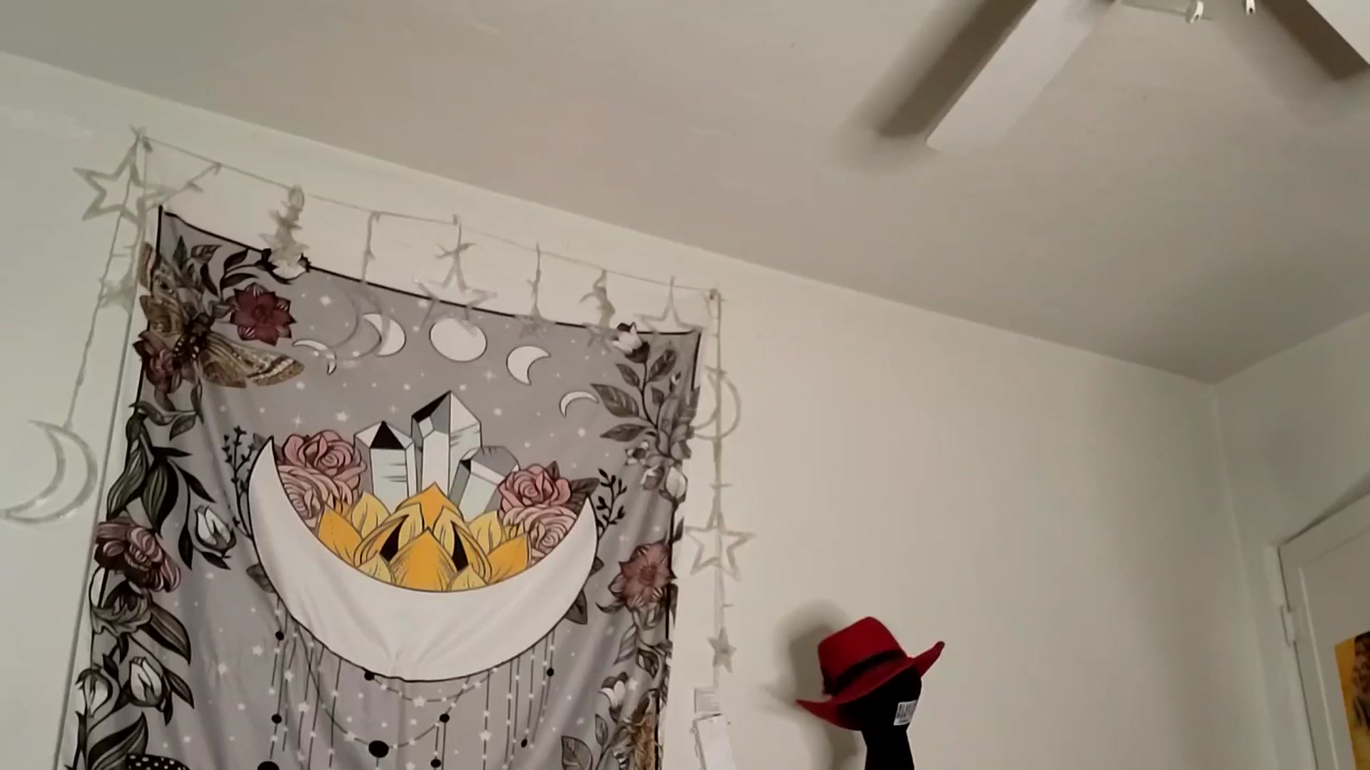 Gallery image thumbnail from TrollopTaylor's myfreecams stream on, 01/26/2025, 23:20 image 5 of 20