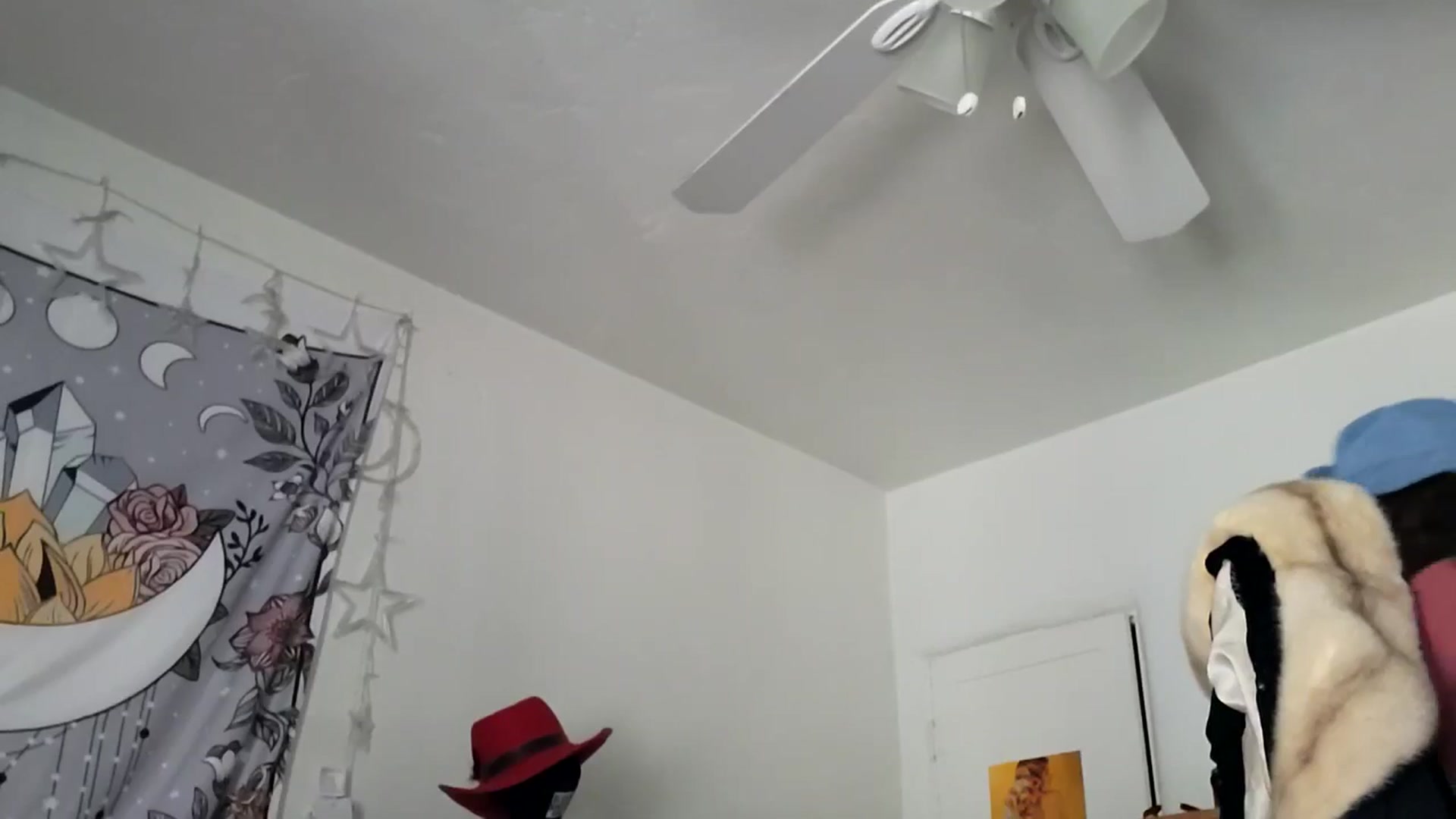 Gallery image thumbnail from TrollopTaylor's myfreecams stream on, 01/27/2025, 20:30 image 16 of 20