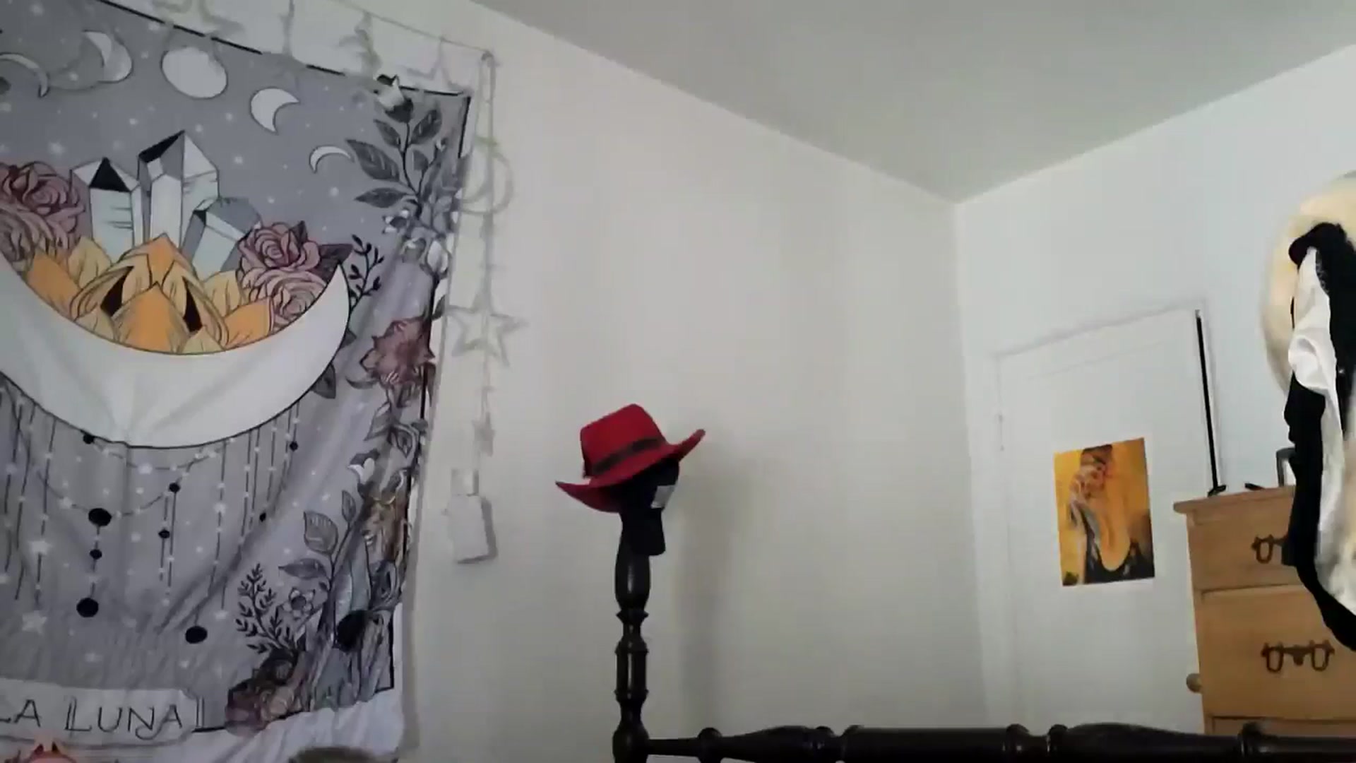 Gallery image thumbnail from TrollopTaylor's myfreecams stream on, 01/27/2025, 21:04 image 16 of 20
