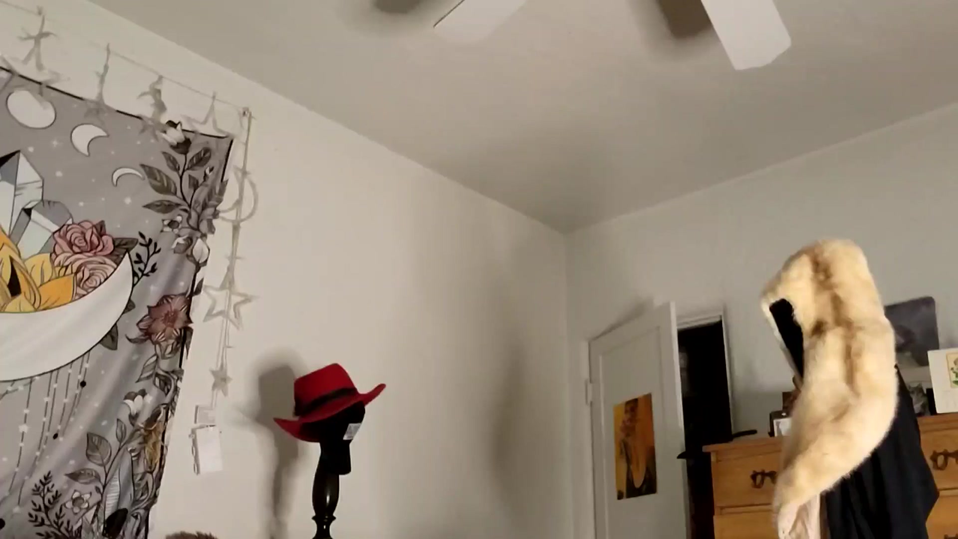 Gallery image thumbnail from TrollopTaylor's myfreecams stream on, 01/30/2025, 19:36 image 5 of 20