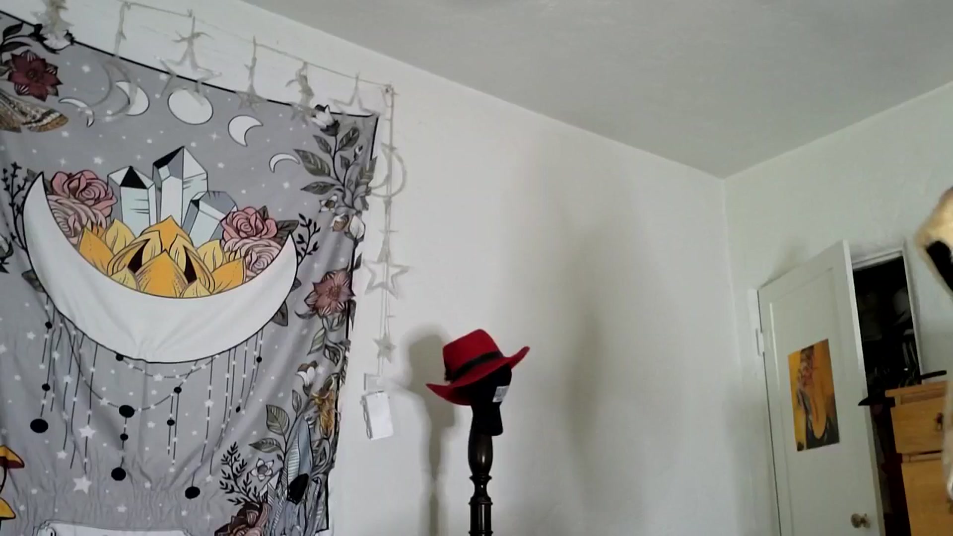 Gallery image thumbnail from TrollopTaylor's myfreecams stream on, 01/31/2025, 20:47 image 1 of 20