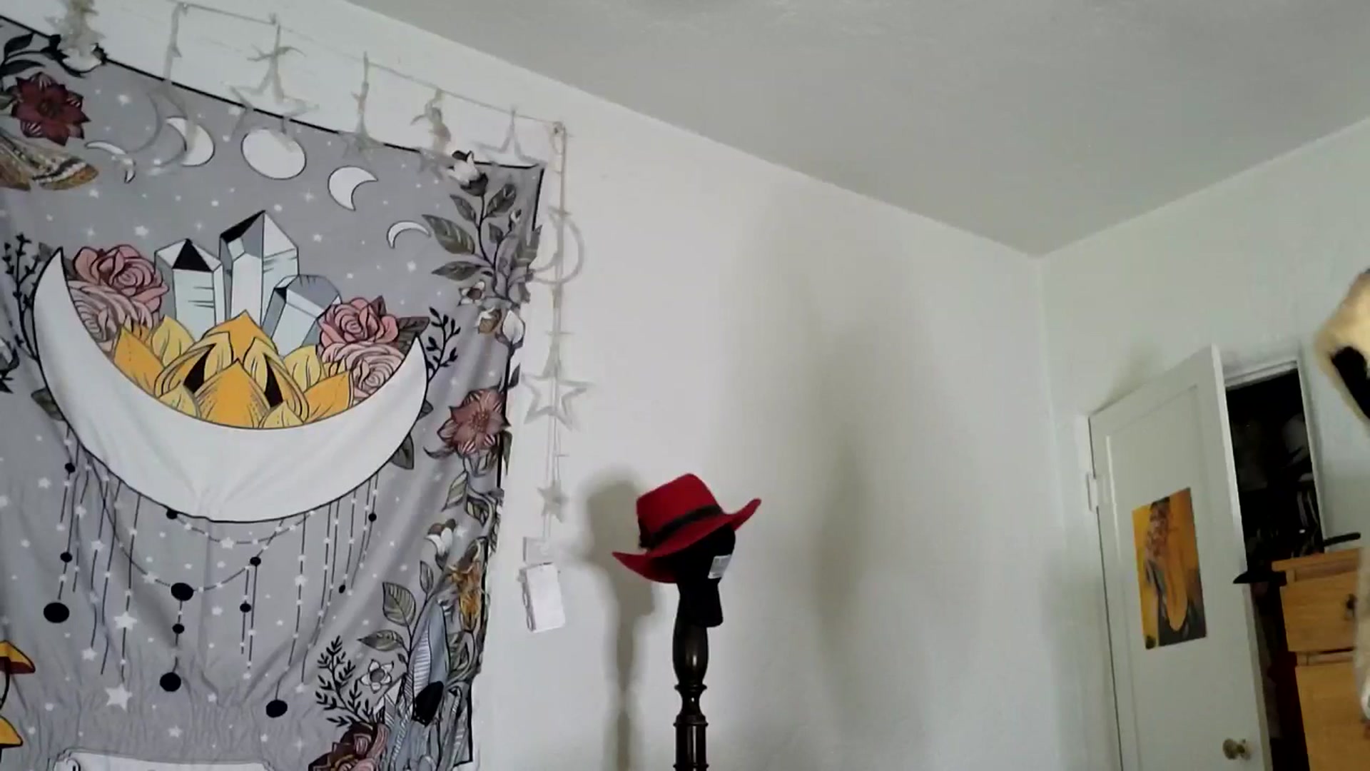 Gallery image thumbnail from TrollopTaylor's myfreecams stream on, 01/31/2025, 20:47 image 2 of 20