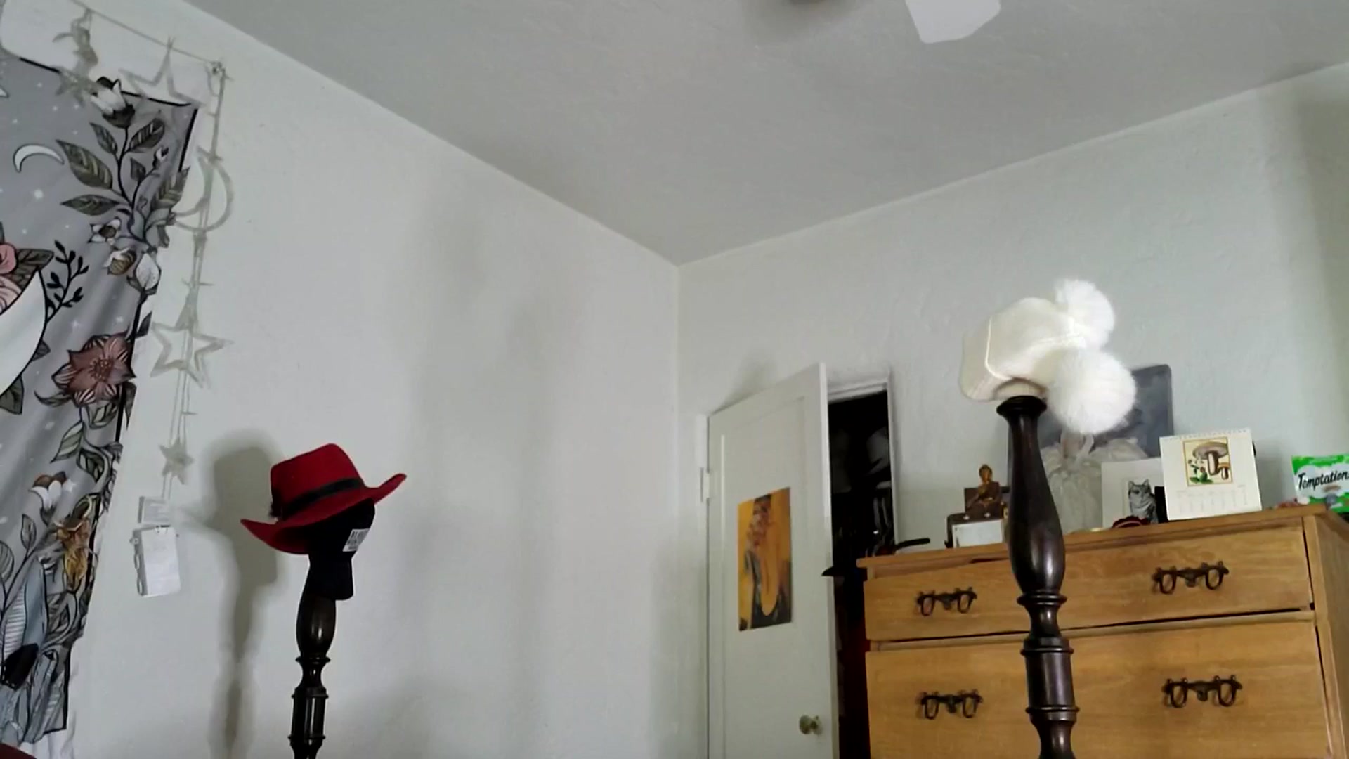 Gallery image thumbnail from TrollopTaylor's myfreecams stream on, 01/31/2025, 22:21 image 17 of 20