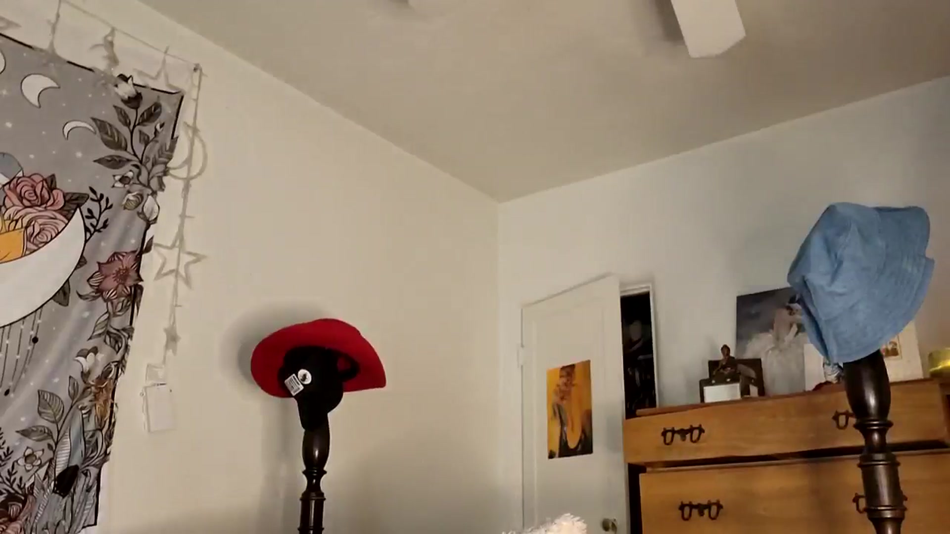 Gallery image thumbnail from TrollopTaylor's myfreecams stream on, 02/14/2025, 20:03 image 16 of 20
