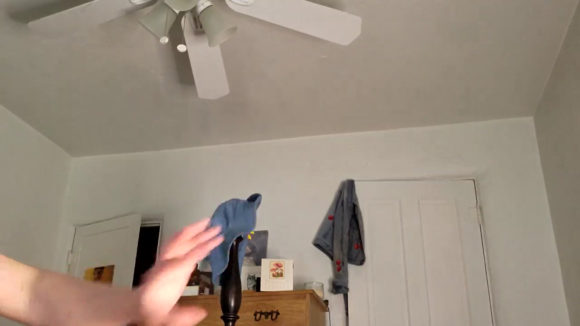Gallery image thumbnail from TrollopTaylor's myfreecams stream on, 02/20/2025, 21:23 image 5 of 20