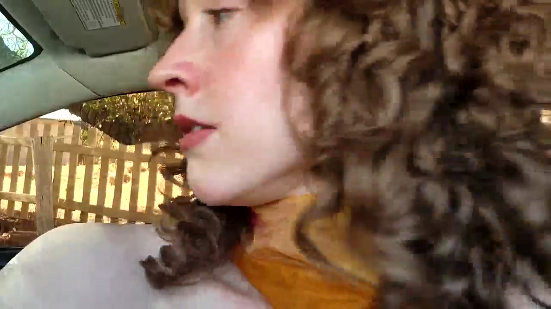 Gallery image thumbnail from TrollopTaylor's myfreecams stream on, 02/21/2025, 21:28 image 15 of 20