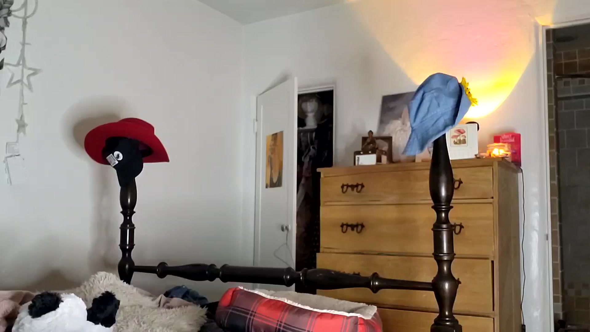 Gallery image thumbnail from TrollopTaylor's myfreecams stream on, 03/03/2025, 02:40 image 16 of 20