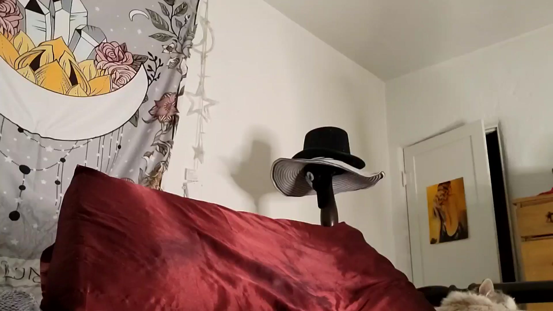 Gallery image thumbnail from TrollopTaylor's myfreecams stream on, 04/03/2025, 20:57 image 10 of 20