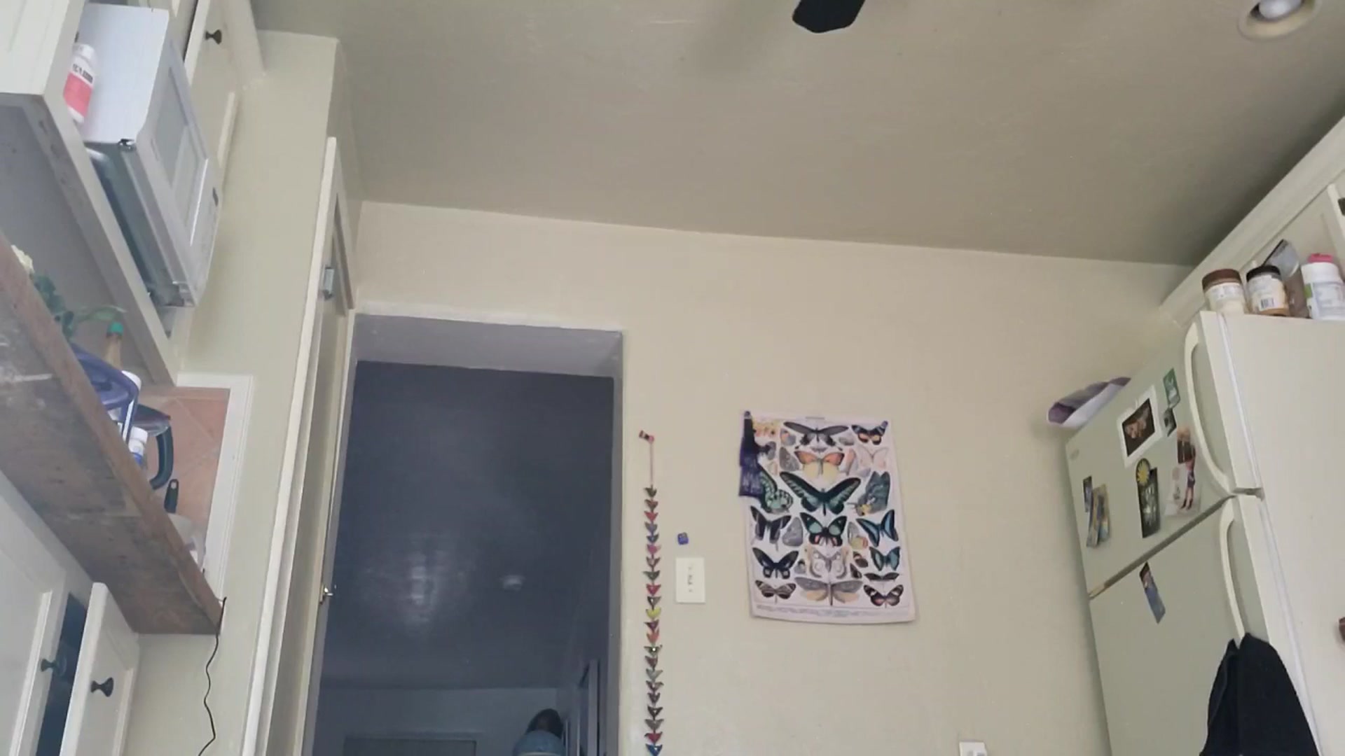 Gallery image thumbnail from TrollopTaylor's myfreecams stream on, 04/14/2025, 23:42 image 13 of 20