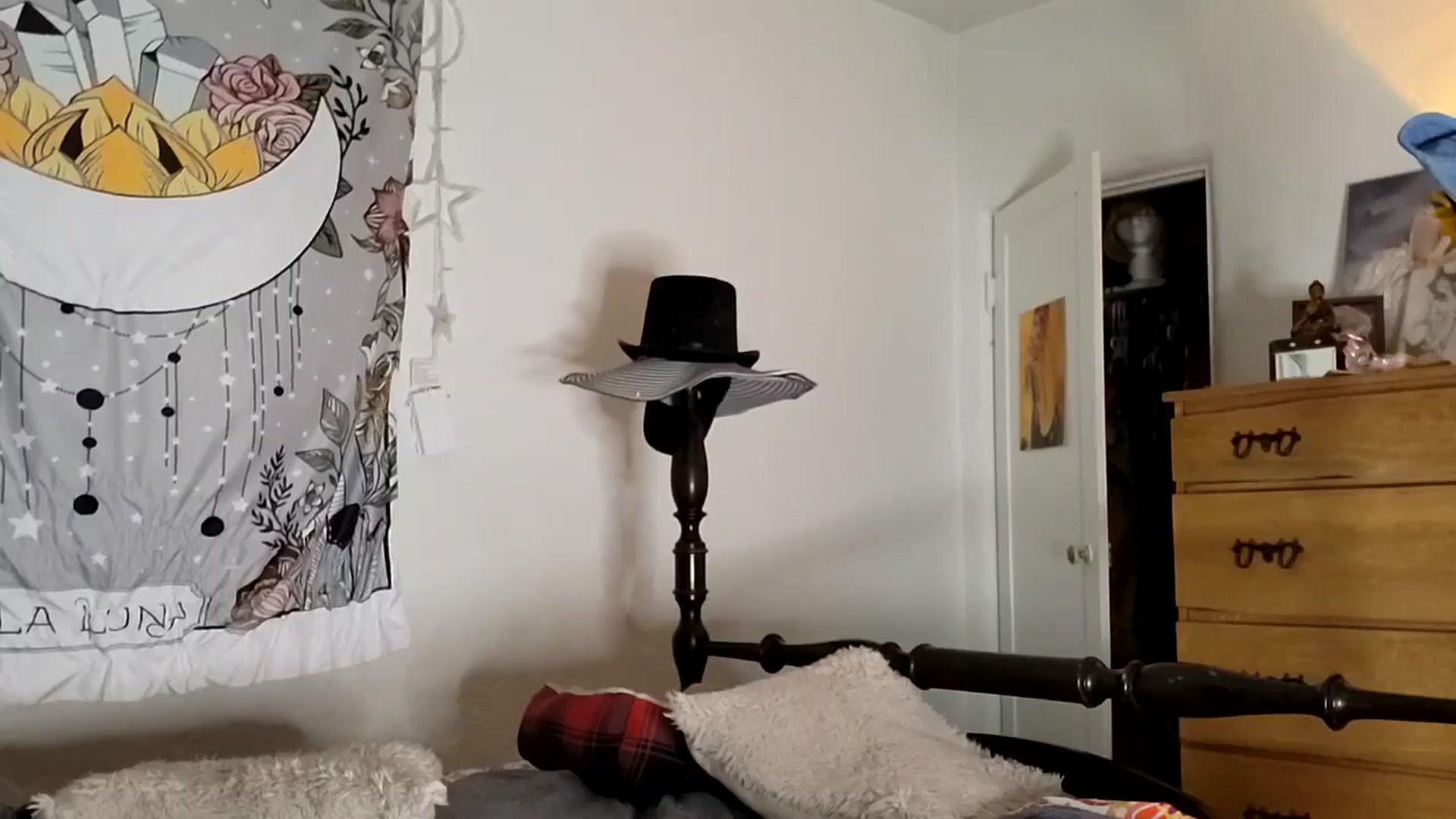 Gallery image thumbnail from TrollopTaylor's myfreecams stream on, 04/16/2025, 02:41 image 16 of 20