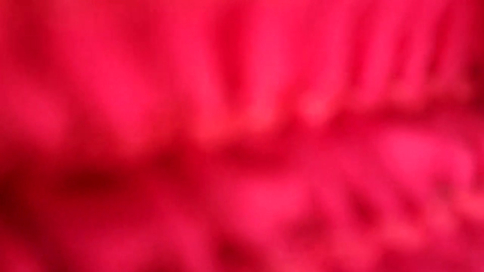 Gallery image thumbnail from TrollopTaylor's myfreecams stream on, 04/16/2025, 19:42 image 20 of 20