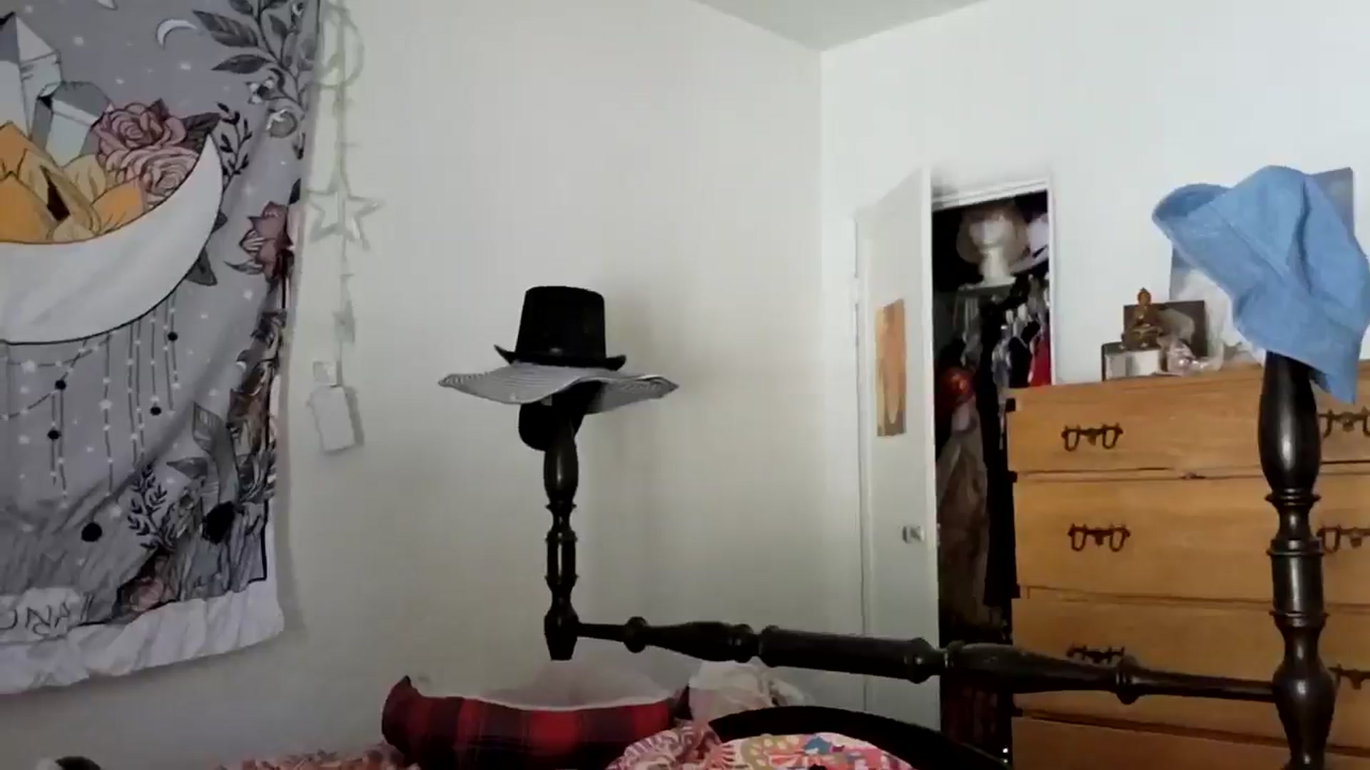 Gallery image thumbnail from TrollopTaylor's myfreecams stream on, 04/18/2025, 21:16 image 17 of 20