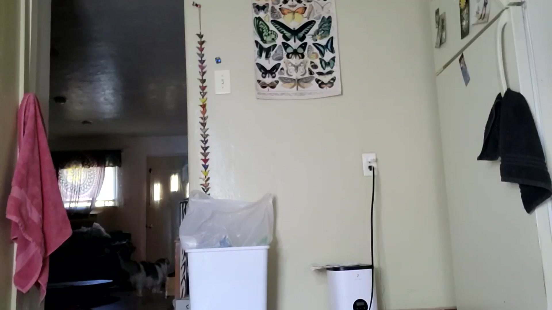 Gallery image thumbnail from TrollopTaylor's myfreecams stream on, 05/01/2025, 24:49 image 17 of 20