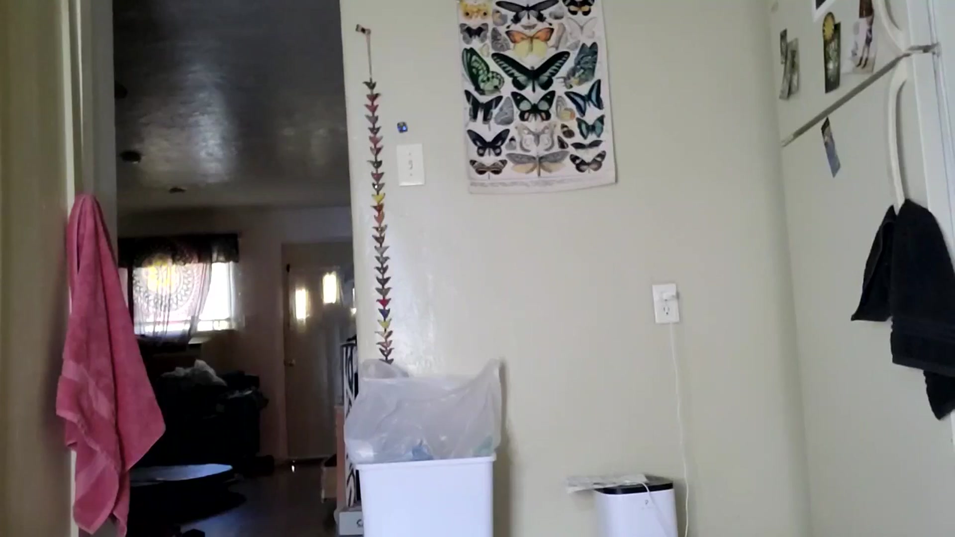 Gallery image thumbnail from TrollopTaylor's myfreecams stream on, 05/01/2025, 24:49 image 14 of 20