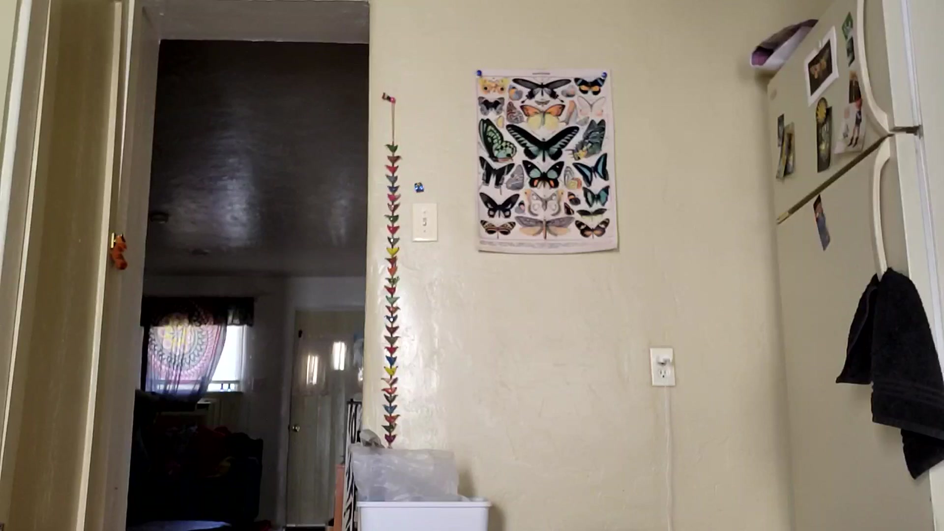 Gallery image thumbnail from TrollopTaylor's myfreecams stream on, 05/07/2025, 19:07 image 9 of 20