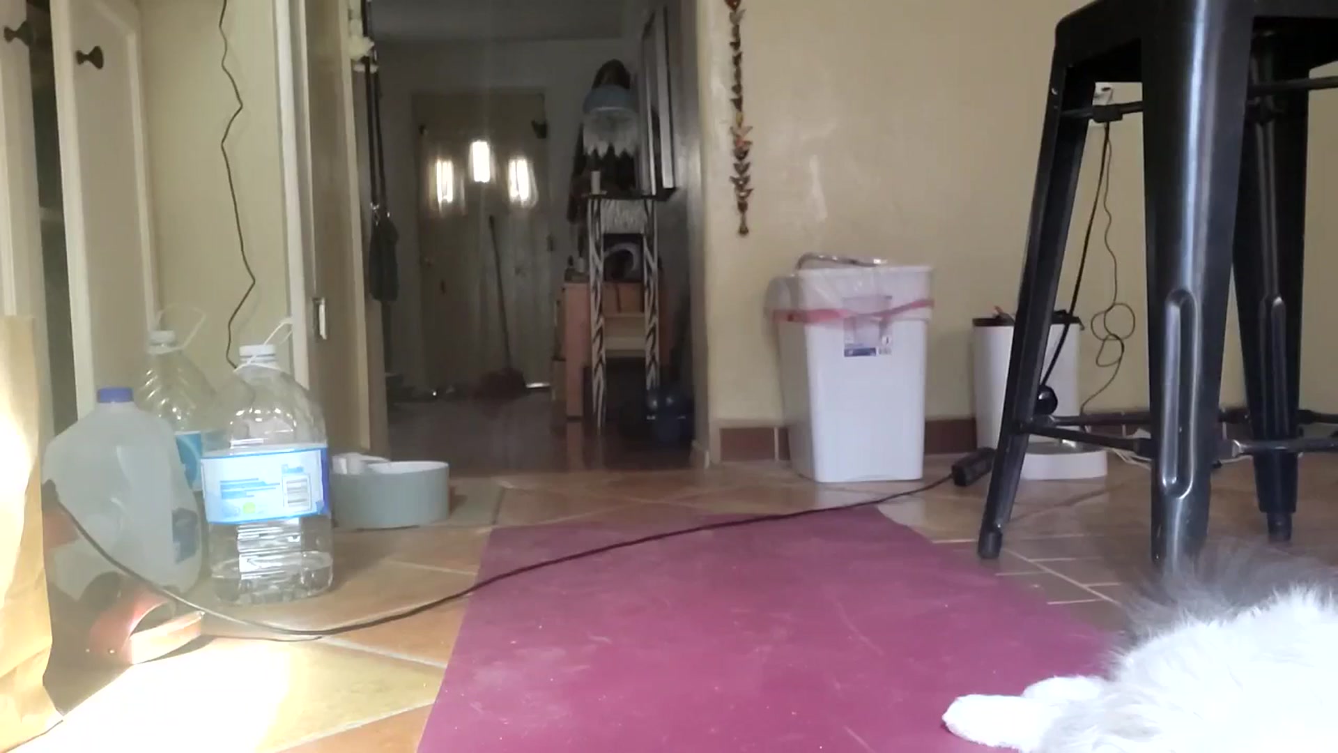 Gallery image thumbnail from TrollopTaylor's myfreecams stream on, 05/15/2025, 24:02 image 3 of 20